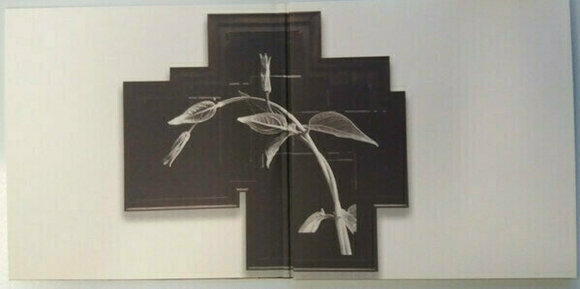 Disque vinyle R.E.M. - Out Of Time (25th Anniversary Edition) (3 LP) - 5