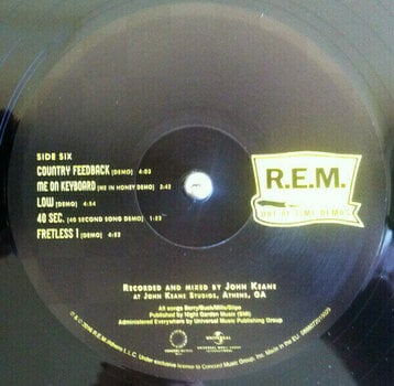 Disque vinyle R.E.M. - Out Of Time (25th Anniversary Edition) (3 LP) - 17
