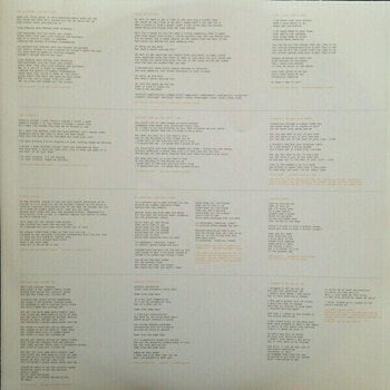 Schallplatte Stereophonics - Performance And Cocktails (LP) - 5