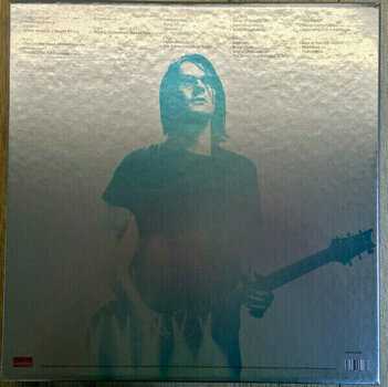 Disco de vinilo Steven Wilson - Home Invasion:In Concert At The Royal Albert Hall (5 LP) - 2