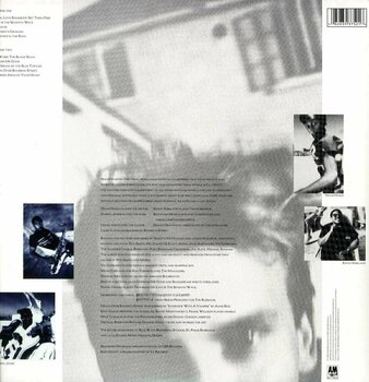Schallplatte Sting - The Dream Of The Blue Turtles (LP) - 2