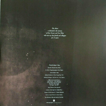 Disque vinyle Sting - Sacred Love (2 LP) - 4