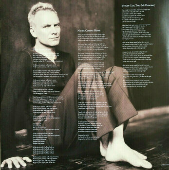 Disque vinyle Sting - Sacred Love (2 LP) - 7
