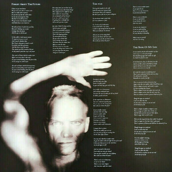 Vinylskiva Sting - Sacred Love (2 LP) - 8