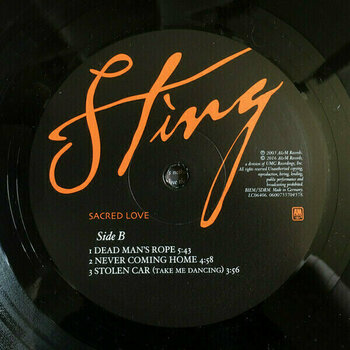 Vinylskiva Sting - Sacred Love (2 LP) - 11