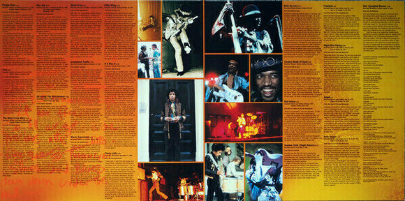 Vinyl Record The Jimi Hendrix Experience - Experience Hendrix: The Best Of (2 LP) - 7