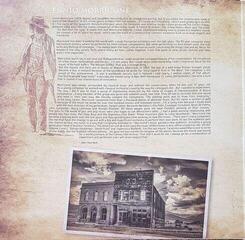 Płyta winylowa Ennio Morricone - Collected (Gatefold Sleeve) (2 LP) - 5