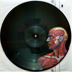 LP platňa Tool - Lateralus (Picture Disc) (2 LP) - 1
