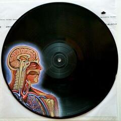 LP platňa Tool - Lateralus (Picture Disc) (2 LP) - 4