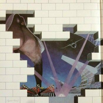 Vinyylilevy Pink Floyd - The Wall (2 LP) - 12