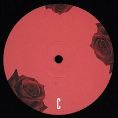Schallplatte Lana Del Rey - Born To Die (2 LP) - 3