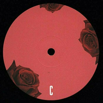 Disque vinyle Lana Del Rey - Born To Die (2 LP) - 4