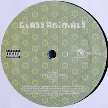 Schallplatte Glass Animals - How To Be A Human Being (LP) - 3