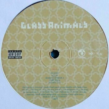 Vinyylilevy Glass Animals - How To Be A Human Being (LP) - 4