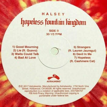 Vinyl Record Halsey - Hopeless Fountain (Red & Yellow) (LP) - 9
