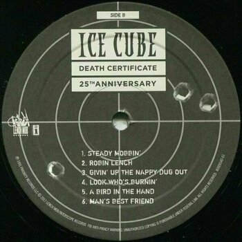 Vinyl Record Ice Cube - Death Certificate (2 LP) - 4