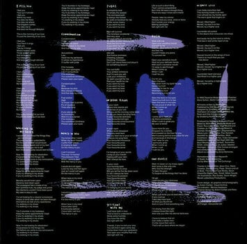 Schallplatte Depeche Mode - Songs of Faith and Devotion (LP) - 2