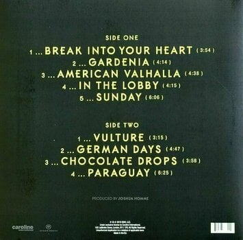 Vinyl Record Iggy Pop - Post Pop Depression (LP) - 2