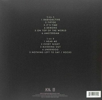 LP platňa Imagine Dragons - Night Visions (LP) - 2
