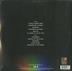 Schallplatte Imagine Dragons - Evolve (LP) - 4