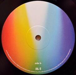 Schallplatte Imagine Dragons - Evolve (LP) - 3