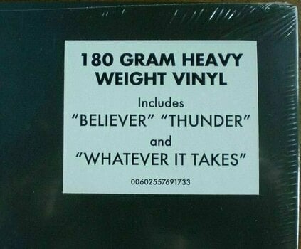 Vinyl Record Imagine Dragons - Evolve (LP) - 6