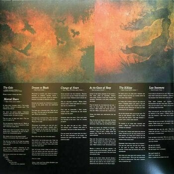 Vinylskiva Insomnium - Above The Weeping World (2 LP) - 3