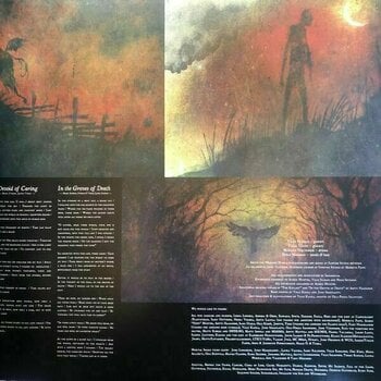 Disco de vinil Insomnium - Above The Weeping World (2 LP) - 4