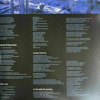 Vinyl Record Insomnium - In The Halls Of Awaiting (2 LP) - 4