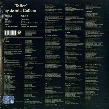 Vinyl Record Jamie Cullum - Taller (LP) - 2