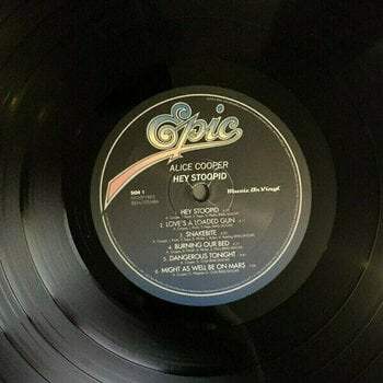 Vinyl Record Alice Cooper - Hey Stoopid (LP) - 3