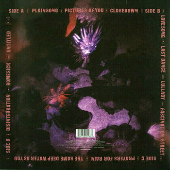 Грамофонна плоча The Cure Disintegration (2 LP) - 14