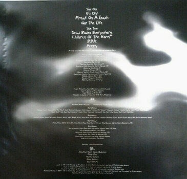 Vinyl Record Korn Follow the Leader (2 LP) - 7