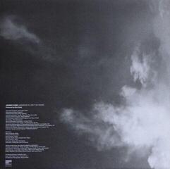 Disc de vinil Johnny Cash - American VI: Ain't No Grave (LP) - 3