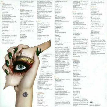 Vinyylilevy Katy Perry - Witness (2 LP) - 9