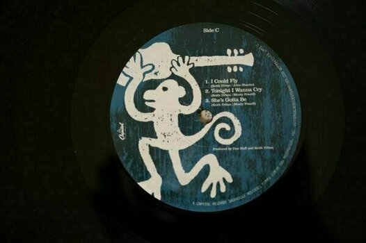 Vinylskiva Keith Urban - Be Here (2 LP) - 6