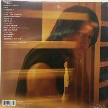 Vinyl Record Keith Urban - Love, Pain & The Whole Crazy Thing (2 LP) - 2