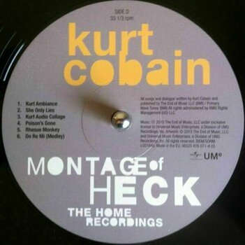 Vinylskiva Kurt Cobain - Montage Of Heck - The Home Recordings (2 LP) - 8