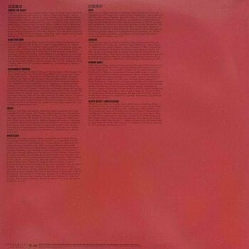 Disque vinyle Lady Gaga - Born This Way (2 LP) - 9