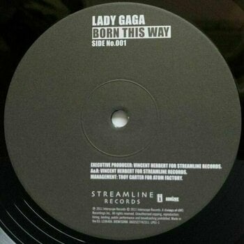 Vinyl Record Lady Gaga - Born This Way (2 LP) - 2