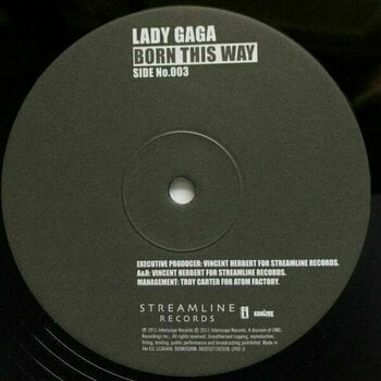 Vinyl Record Lady Gaga - Born This Way (2 LP) - 4