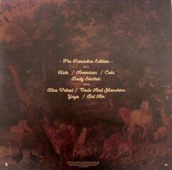 Vinüülplaat Lana Del Rey - Born To Die (The Paradise Edition) (LP) - 4