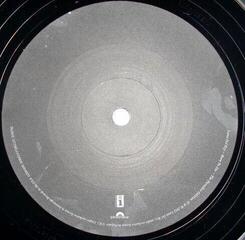 Vinüülplaat Lana Del Rey - Born To Die (The Paradise Edition) (LP) - 3