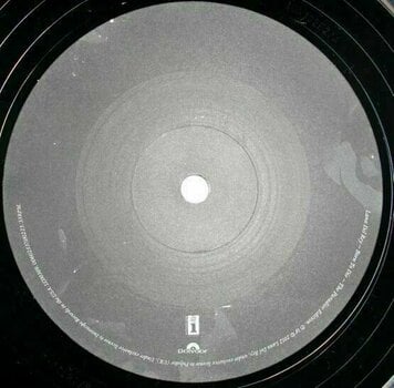 Disque vinyle Lana Del Rey - Born To Die (The Paradise Edition) (LP) - 3