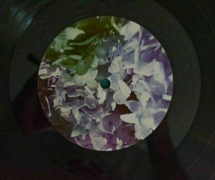 Vinyylilevy Lana Del Rey - Ultraviolence (2 LP) - 7
