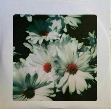 Disque vinyle Lana Del Rey - Lust For Life (2 LP) - 9