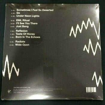 LP deska The Chemical Brothers - Born In The Echoes (2 LP) - 5