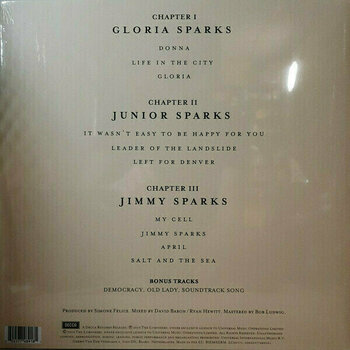 Disco de vinil The Lumineers - III (2 LP) - 5