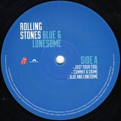 Vinylskiva The Rolling Stones - Blue & Lonesome (2 LP) - 1