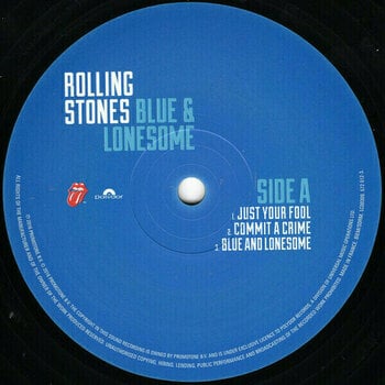 Vinyl Record The Rolling Stones - Blue & Lonesome (2 LP) - 2